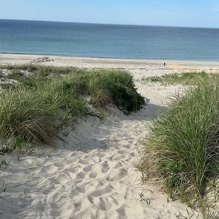 5 Beach Road East Sandwich - Sandy Toes & Salty Kisses